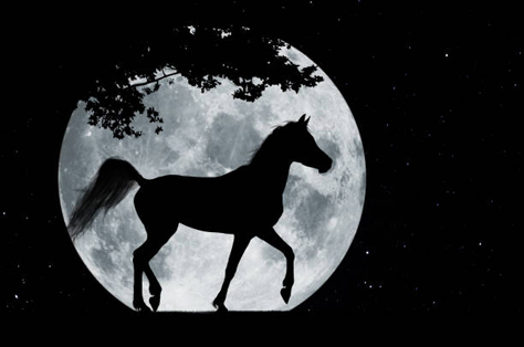 caballo con luna al fondo
