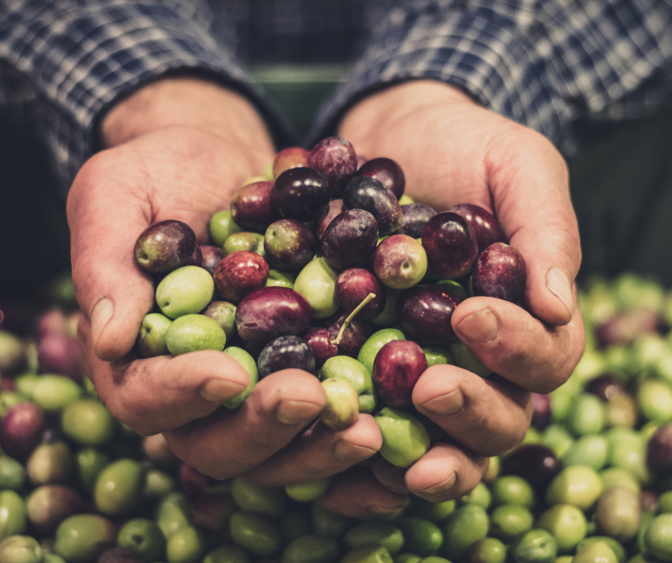 La Temprana de Montán